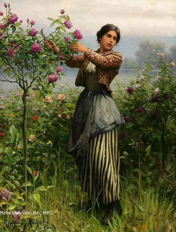 Il taglio delle rose